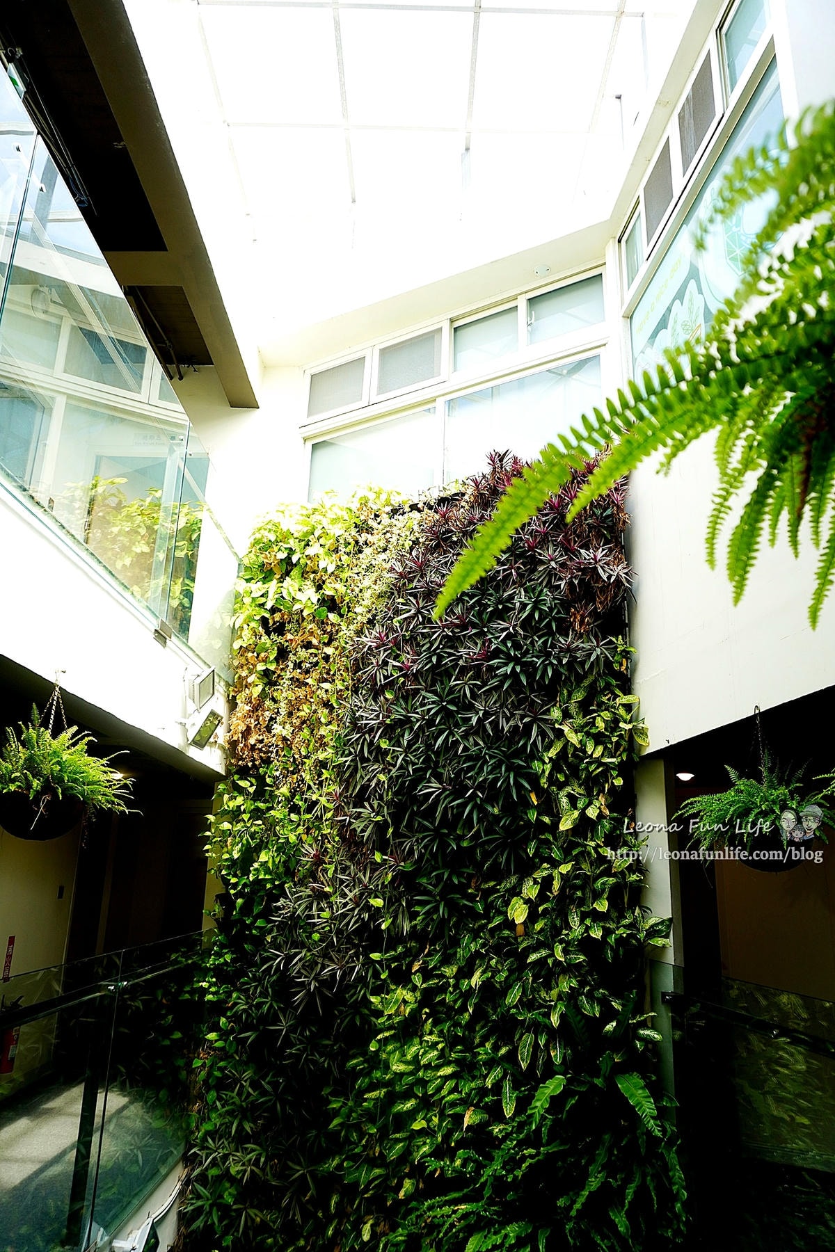 20251027_-334 20251027_-334