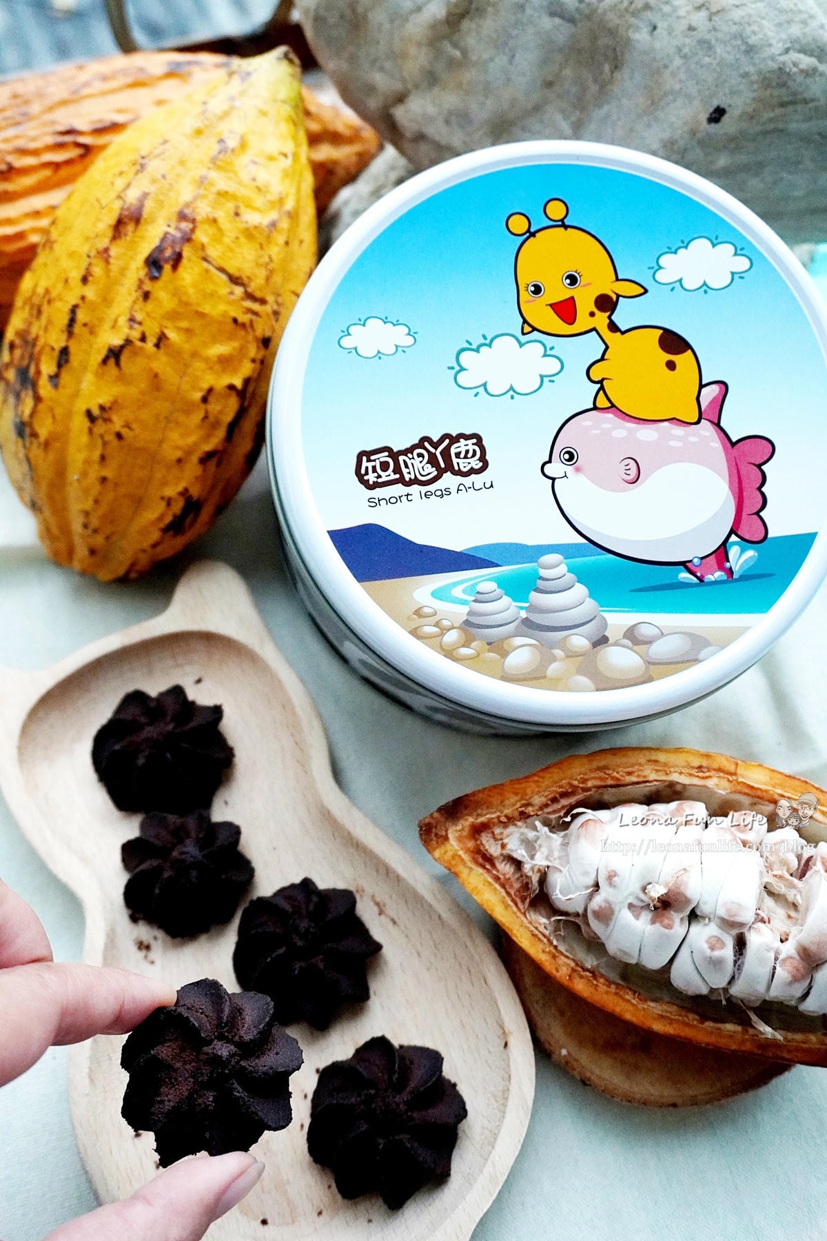 20251027_-339 20251027_-339