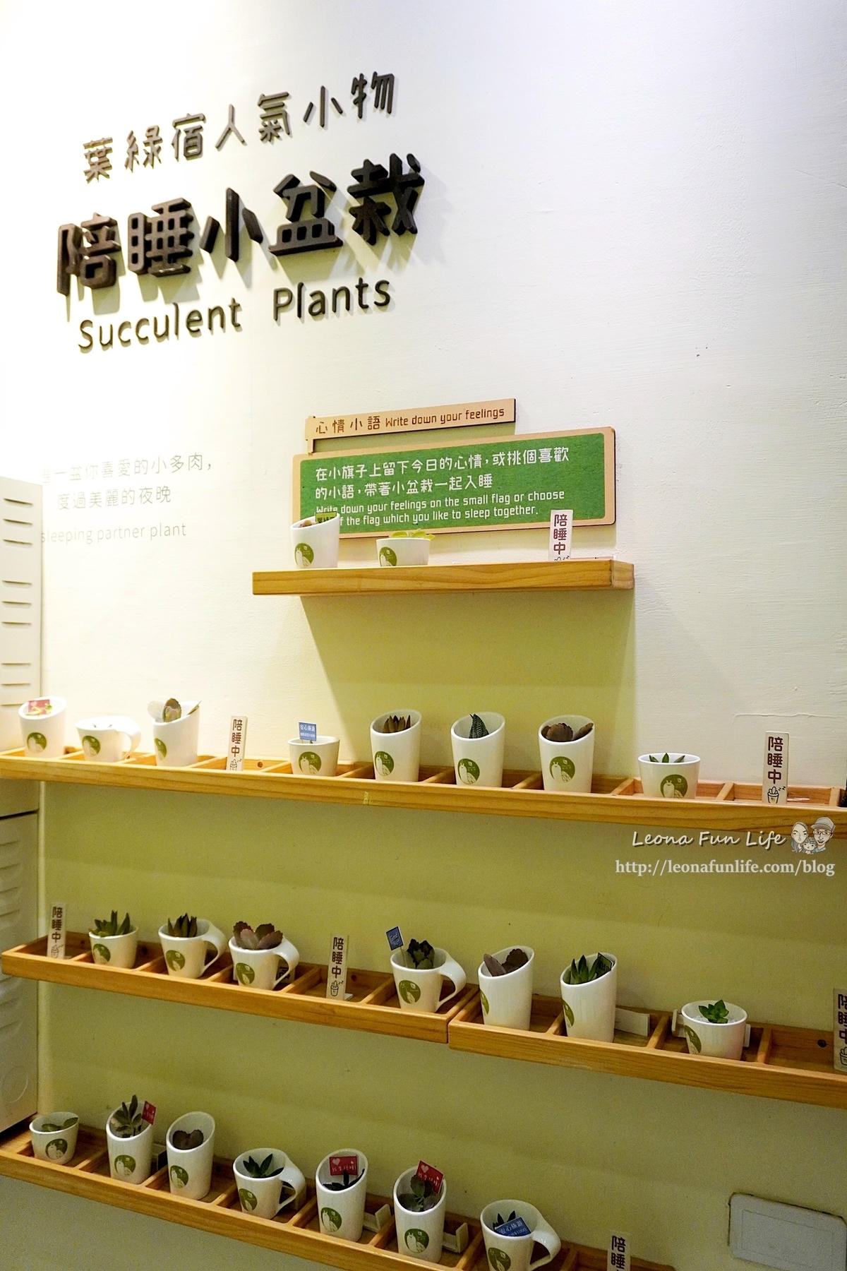 20251027_-406 20251027_-406