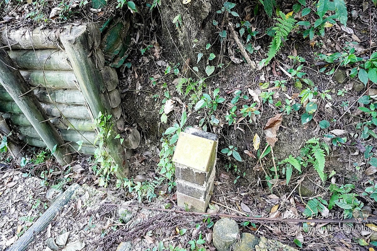 20251027_-317 20251027_-317