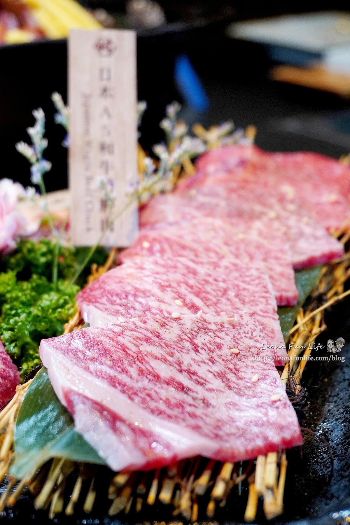 20251027_-349 20251027_-349