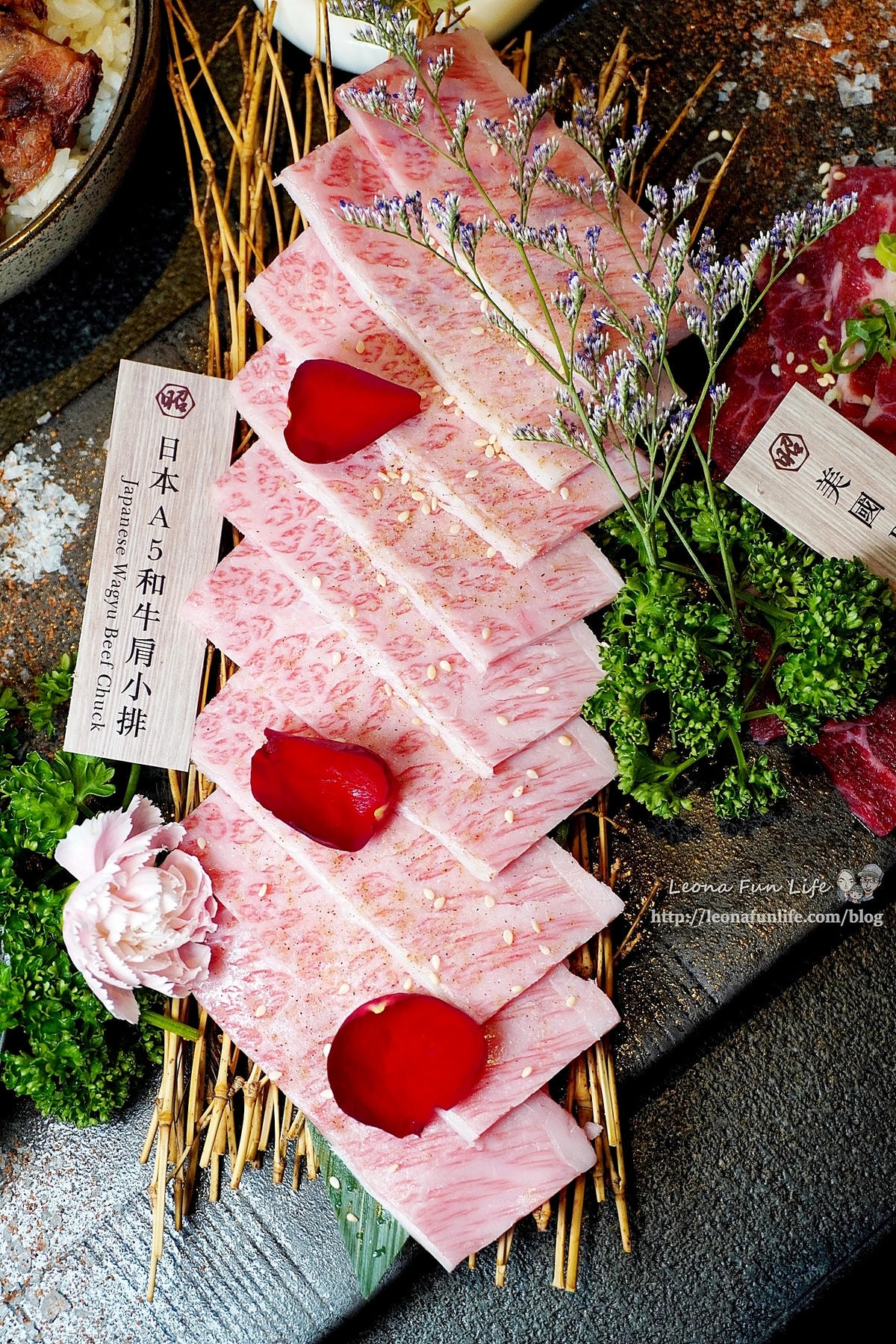 20251027_-351 20251027_-351