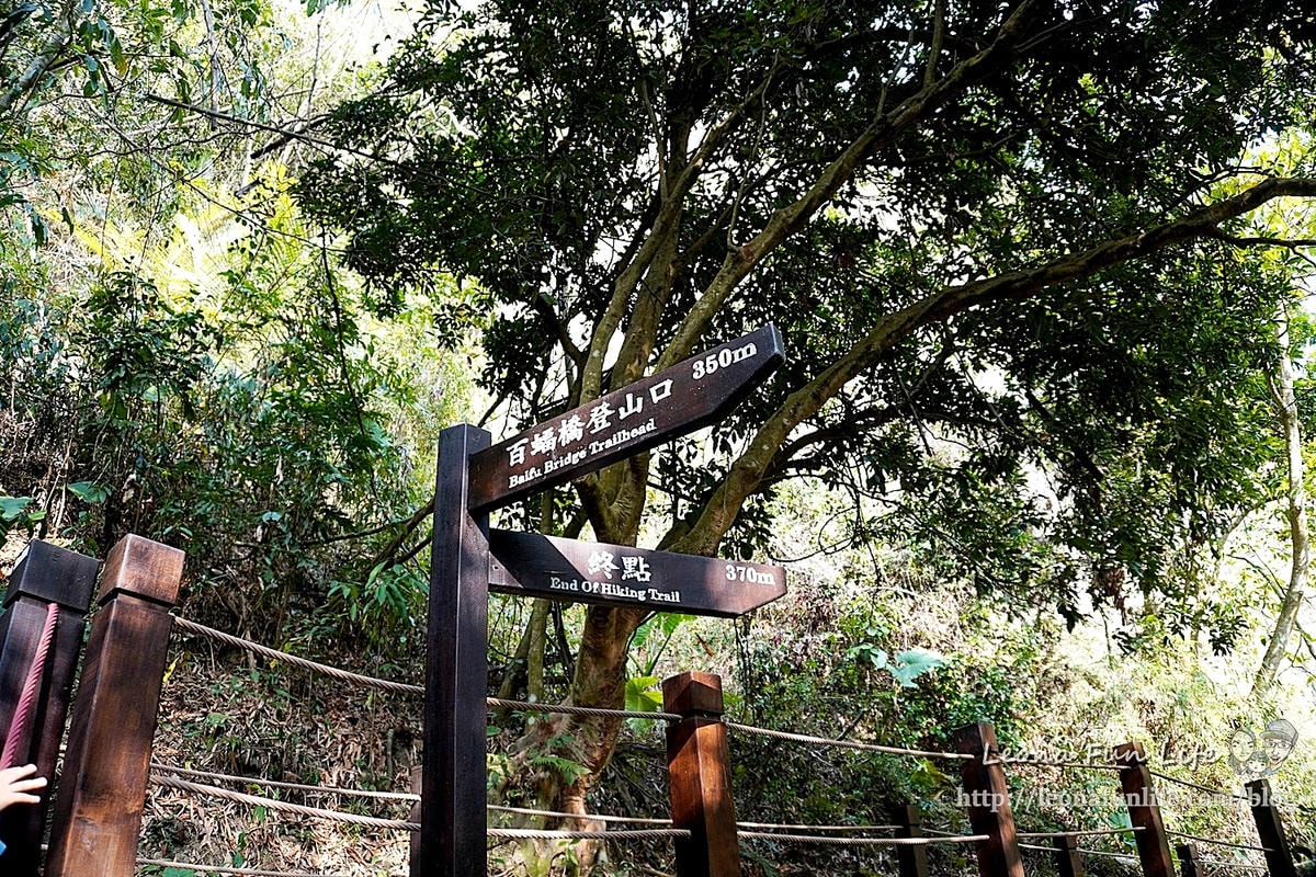 20251027_-384 20251027_-384