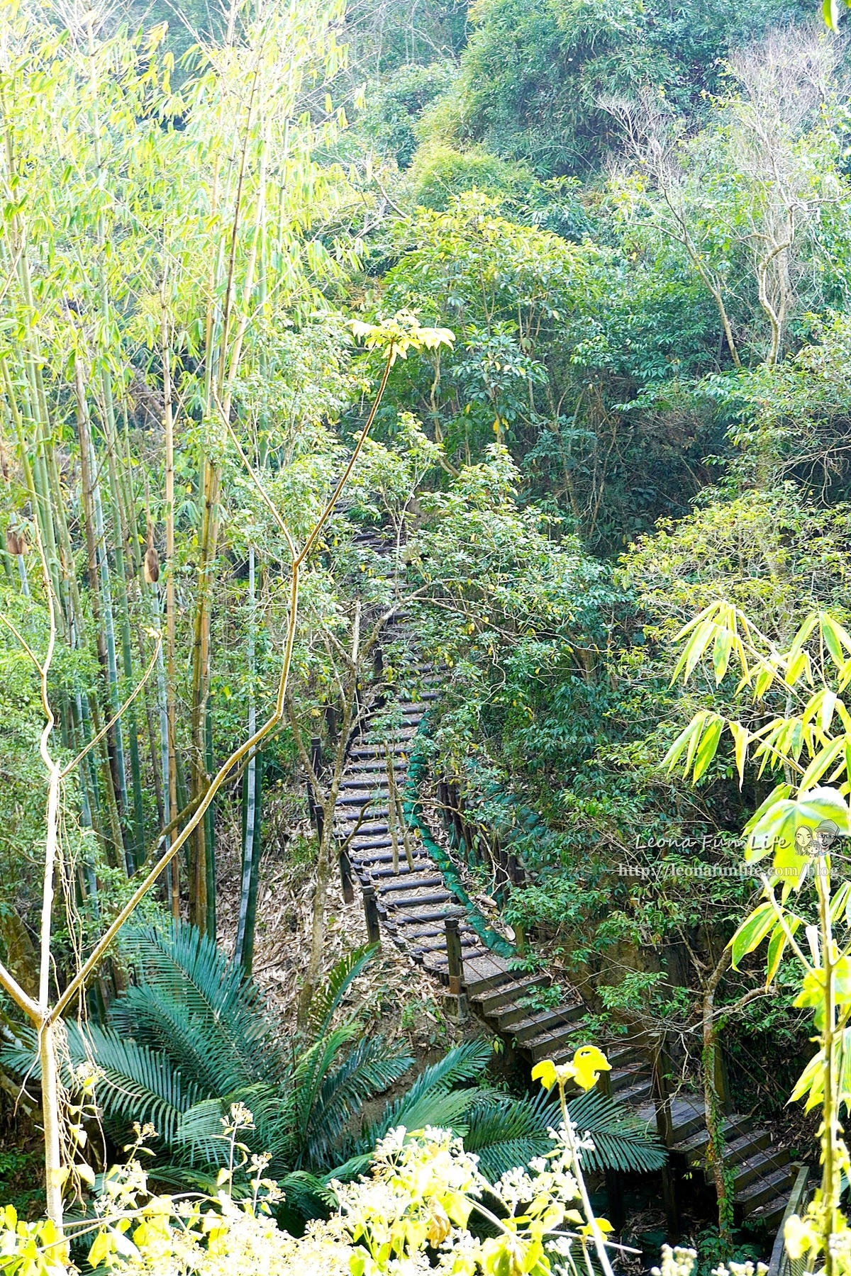 20251027_-386 20251027_-386