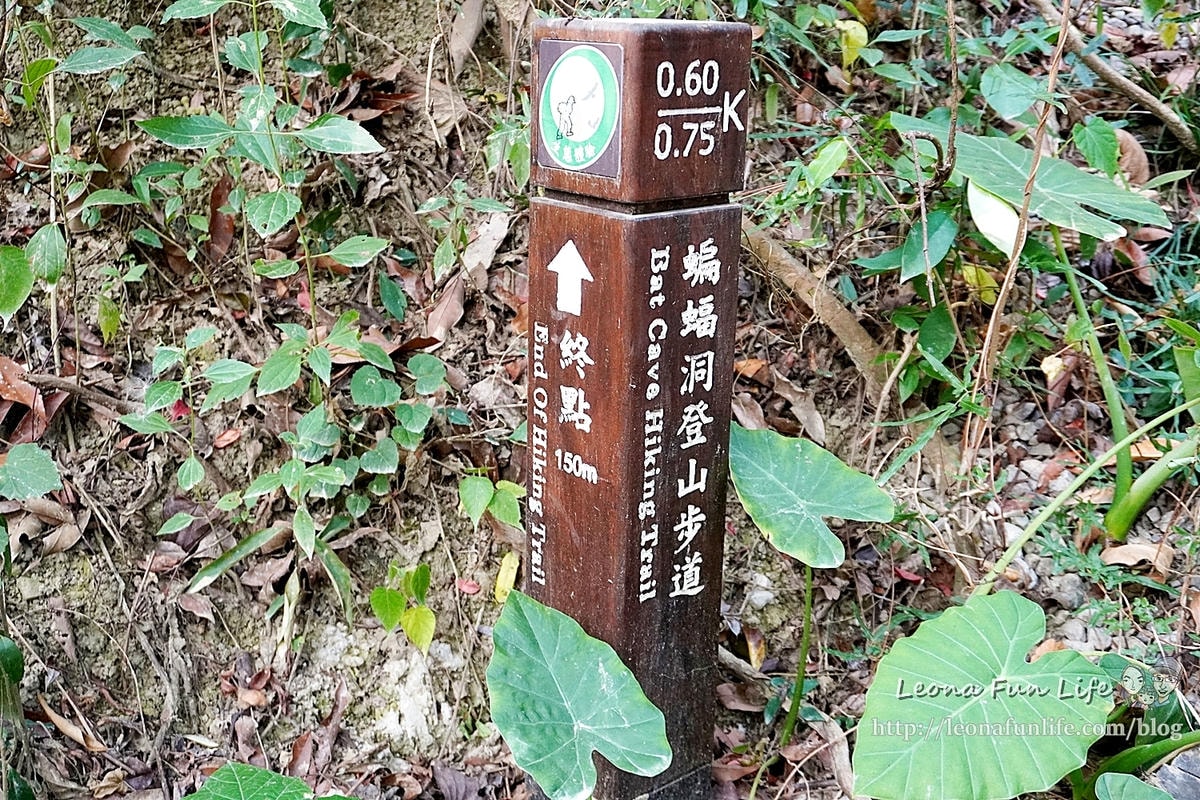 20251027_-389 20251027_-389