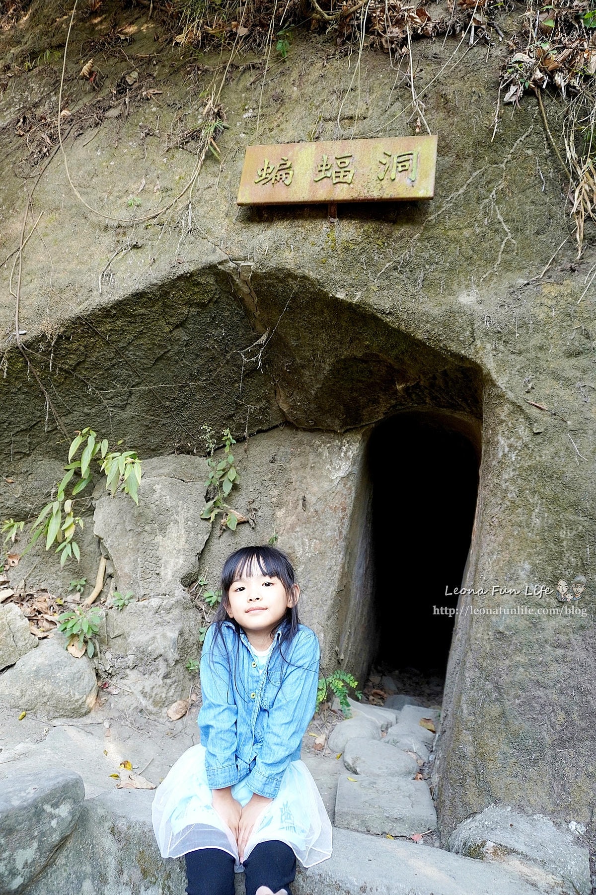 20251027_-392 20251027_-392