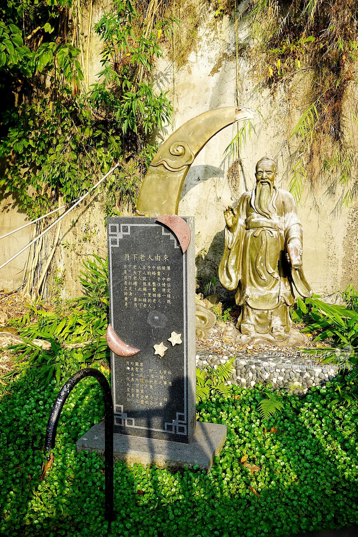 20251027_-393 20251027_-393