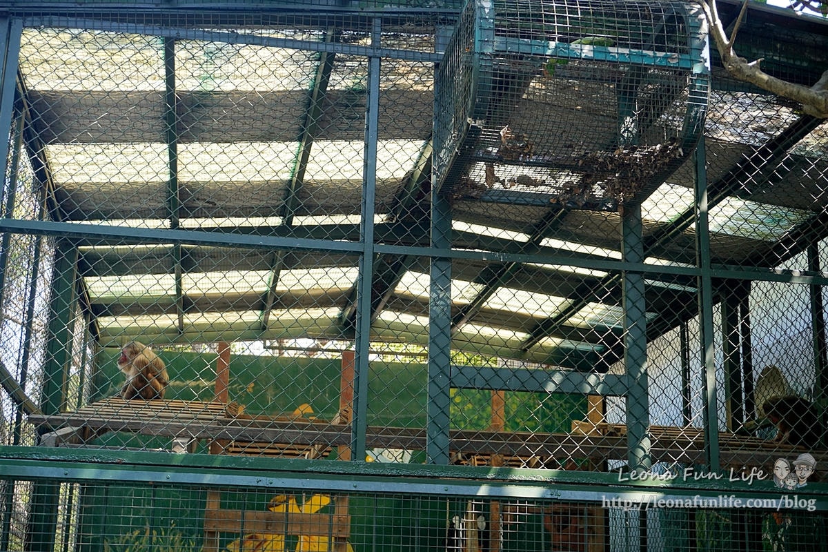 20251027_-165 20251027_-165