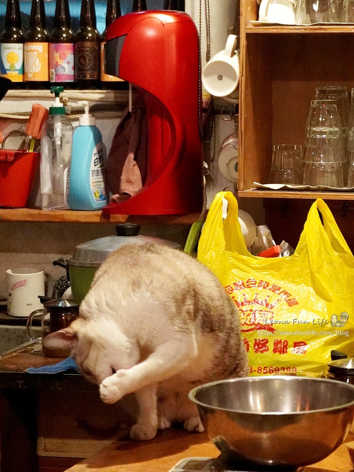 20251027_-317 20251027_-317