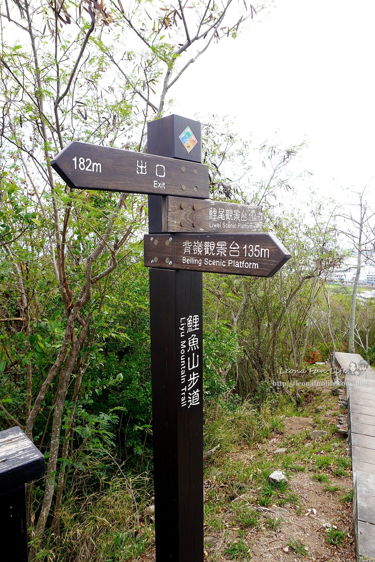 20251027_-301 20251027_-301