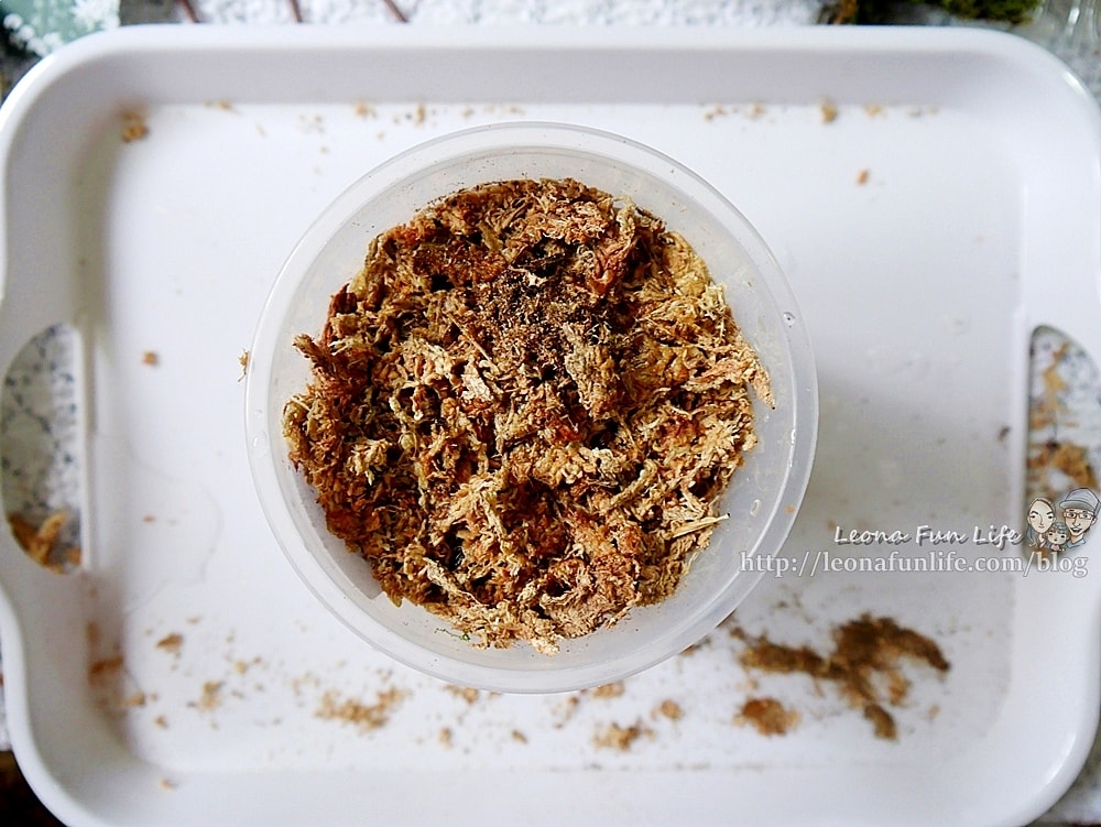 20251027_-20 20251027_-20