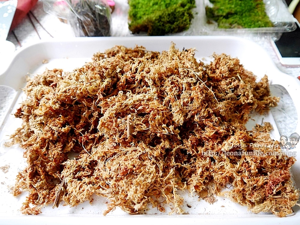 20251027_-21 20251027_-21