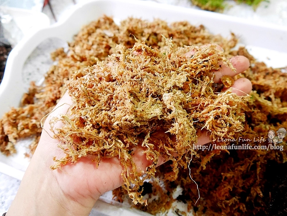 20251027_-23 20251027_-23