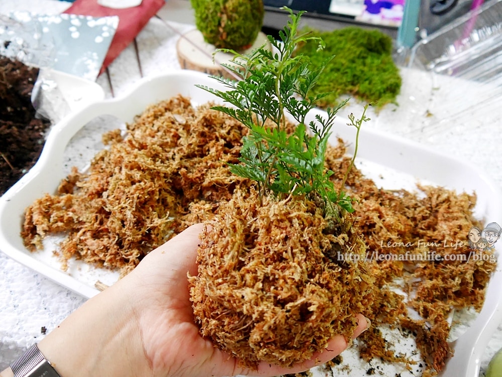 20251027_-24 20251027_-24