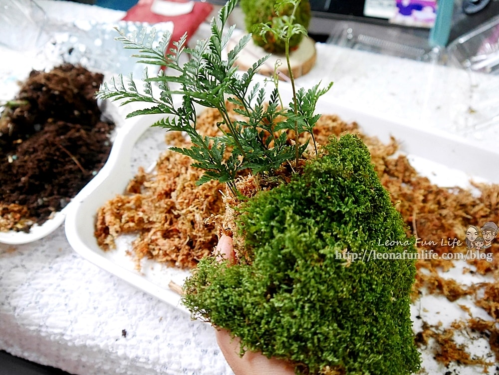 20251027_-25 20251027_-25