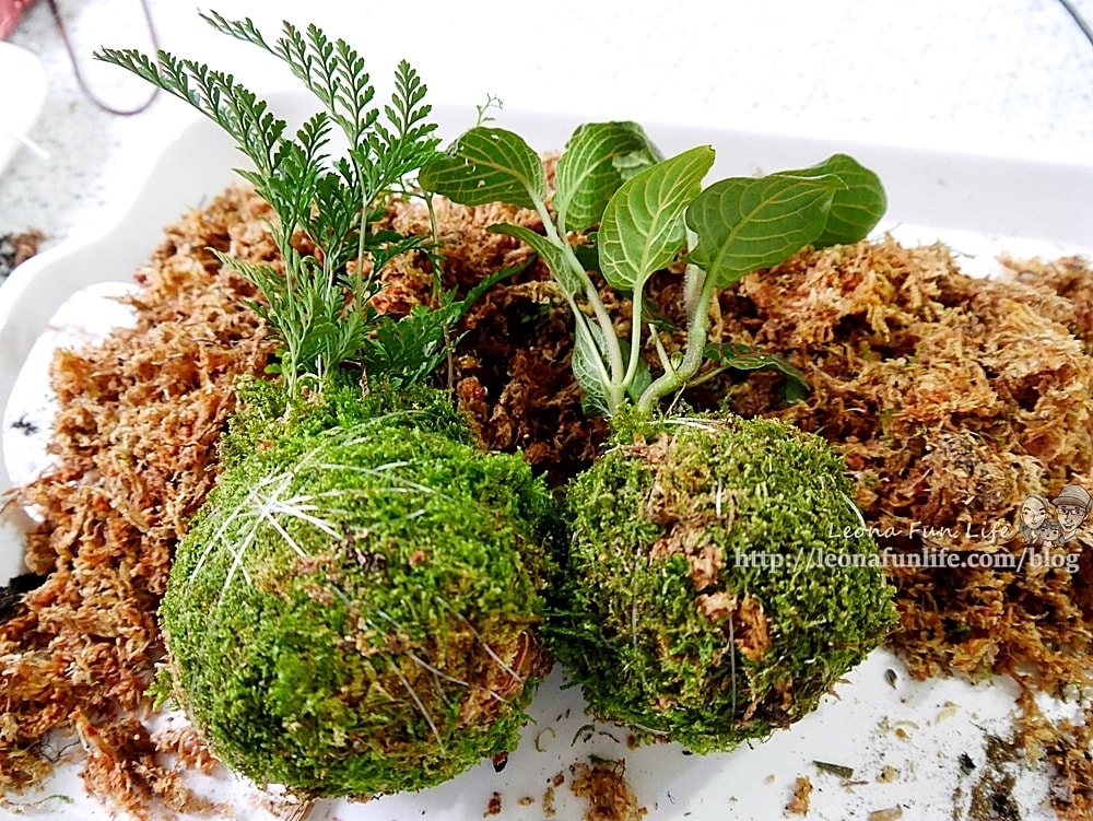 20251027_-27 20251027_-27