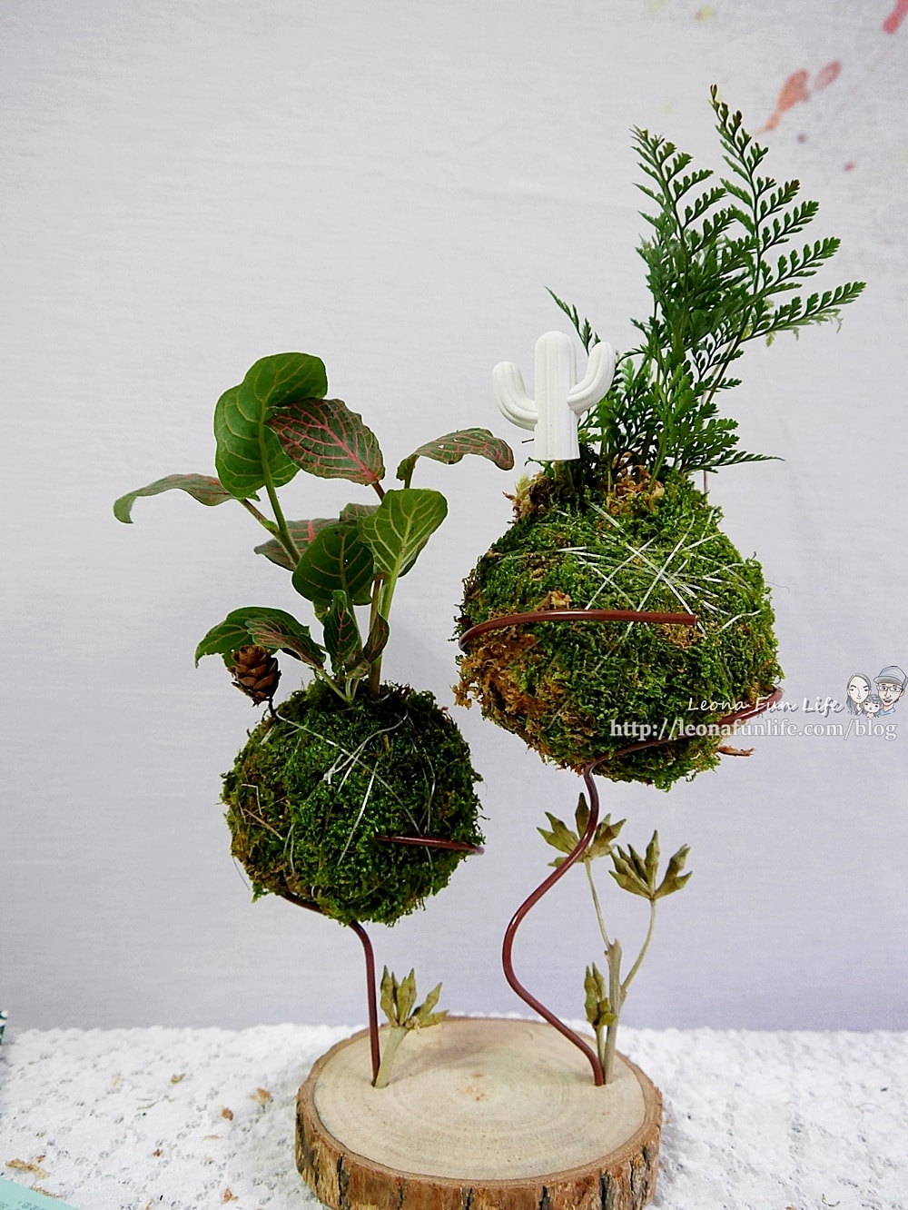 20251027_-28 20251027_-28