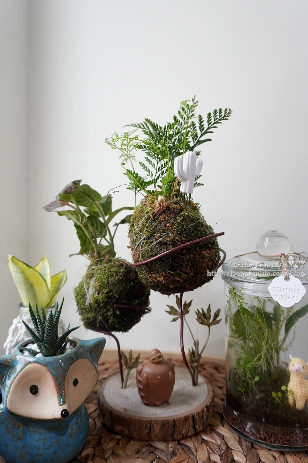 20251027_-31 20251027_-31