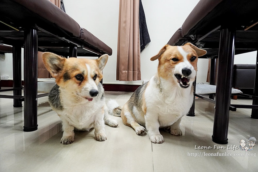 20251027_-136 20251027_-136