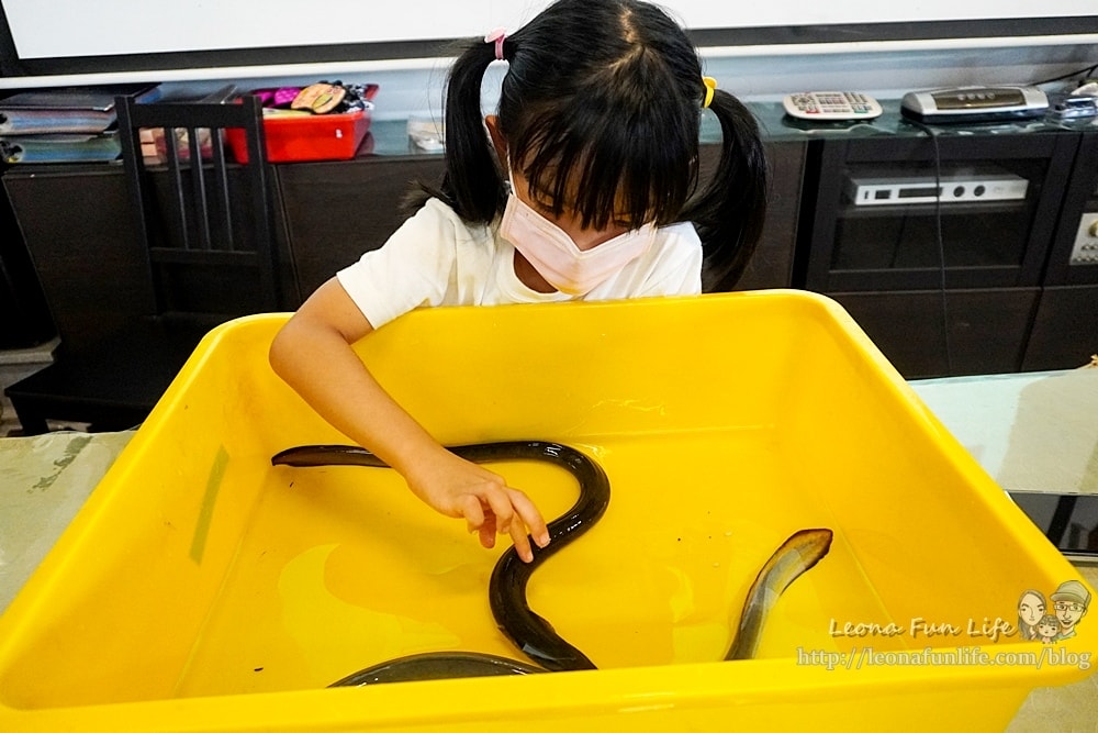 20251027_-43 20251027_-43