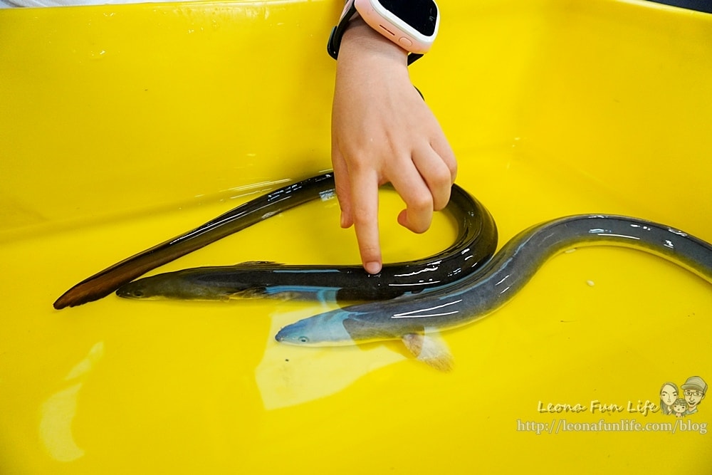 20251027_-44 20251027_-44