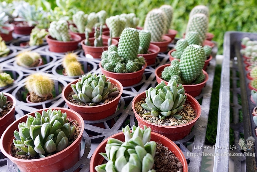 20251027_-10 20251027_-10