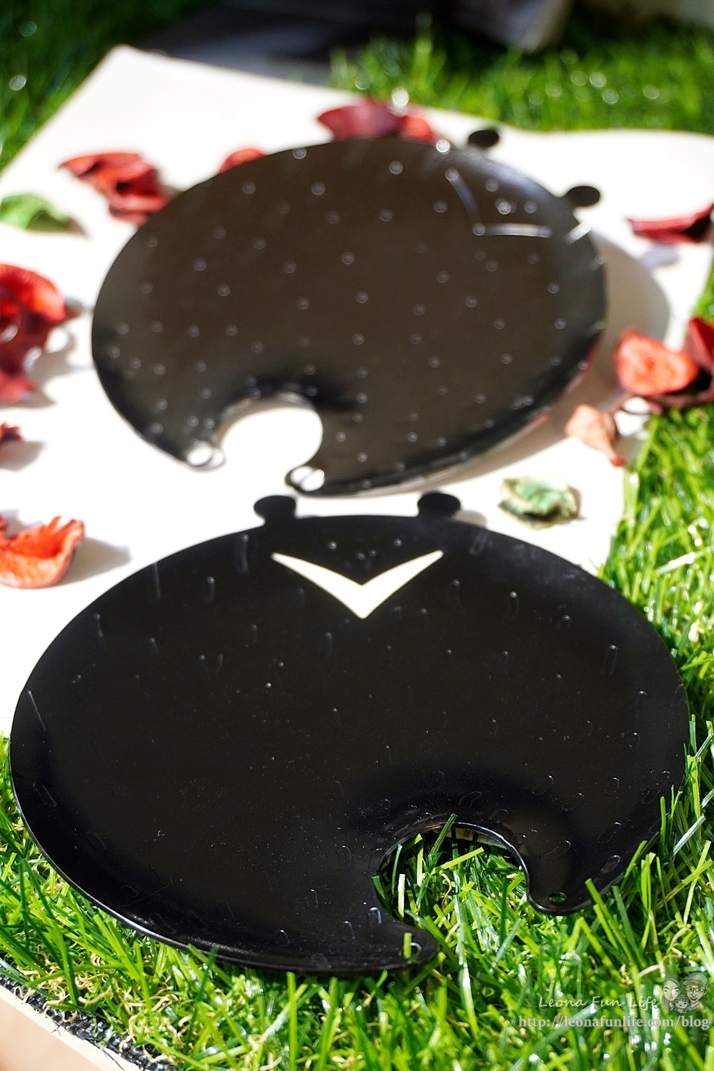 20251027_-42 20251027_-42