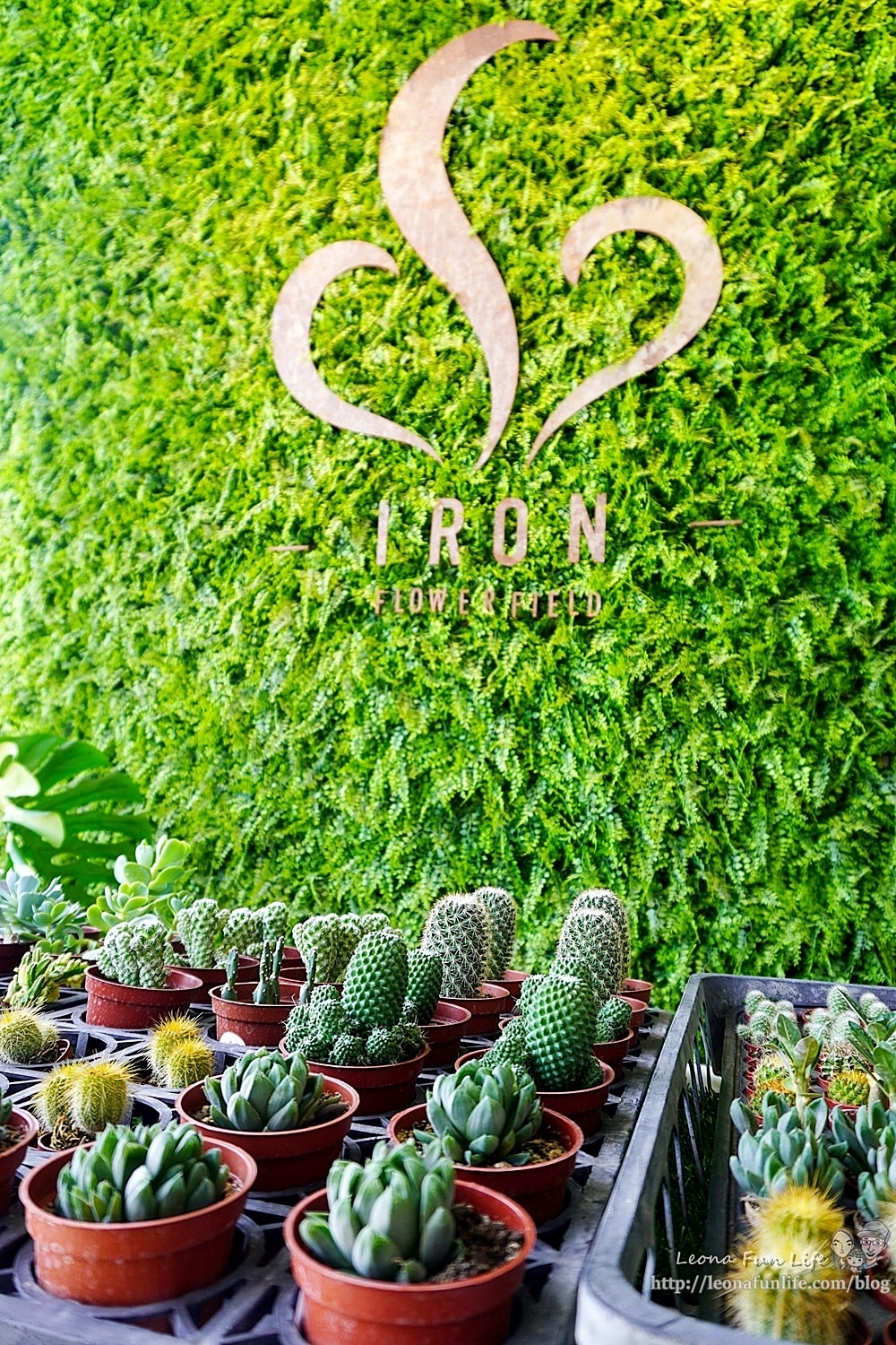 20251027_-6 20251027_-6