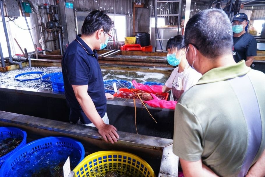 20251027_-195 20251027_-195