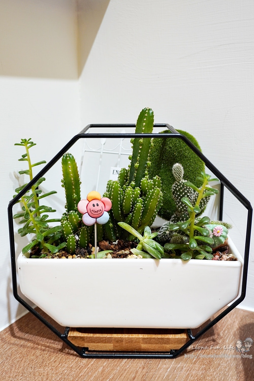 20251027_-15 20251027_-15