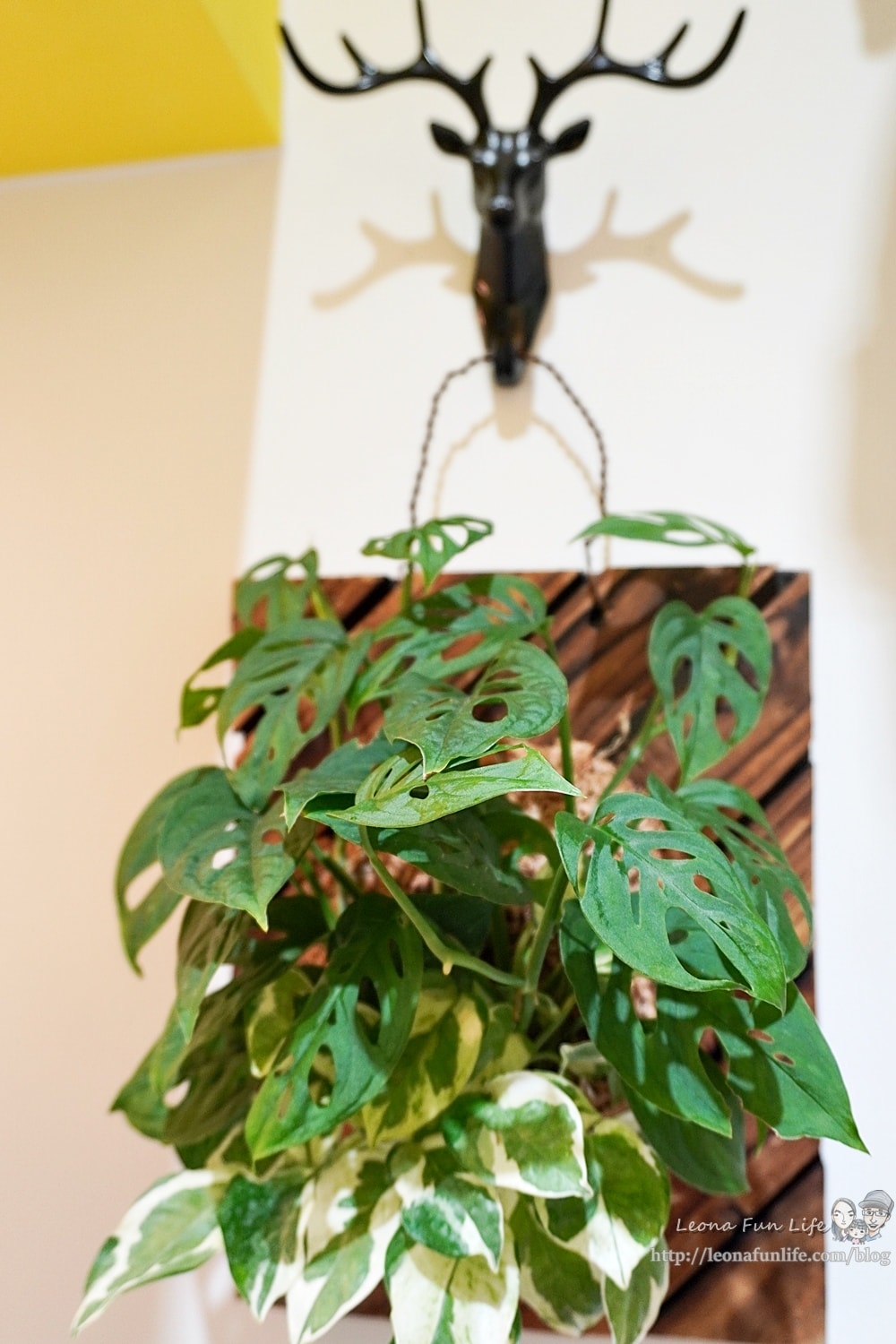 20251027_-19 20251027_-19