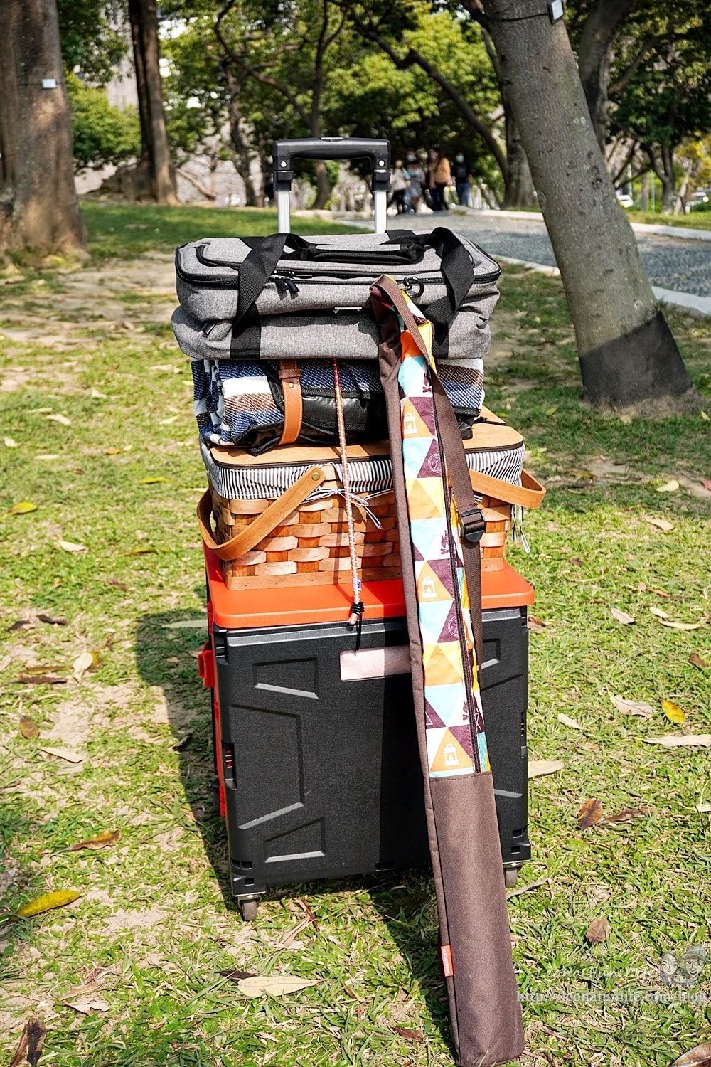 20251027_-246 20251027_-246