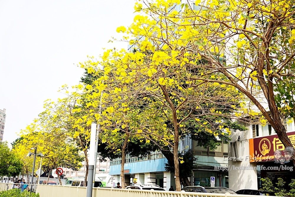 20251027_-280 20251027_-280