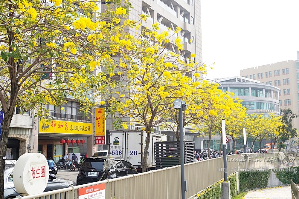 20251027_-281 20251027_-281