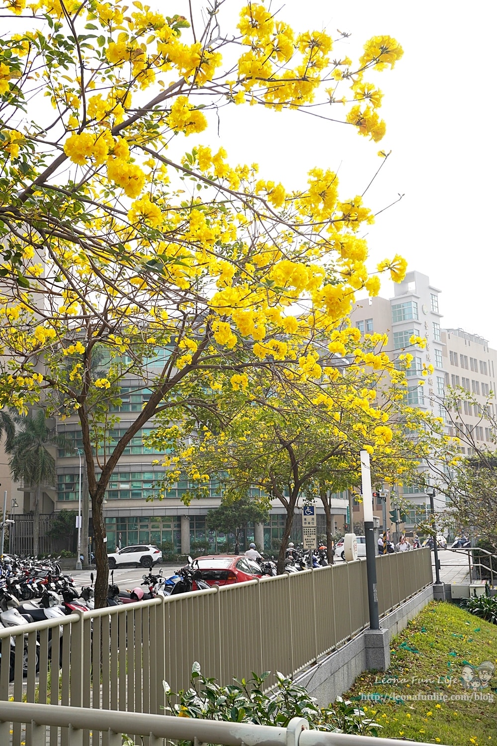 20251027_-282 20251027_-282