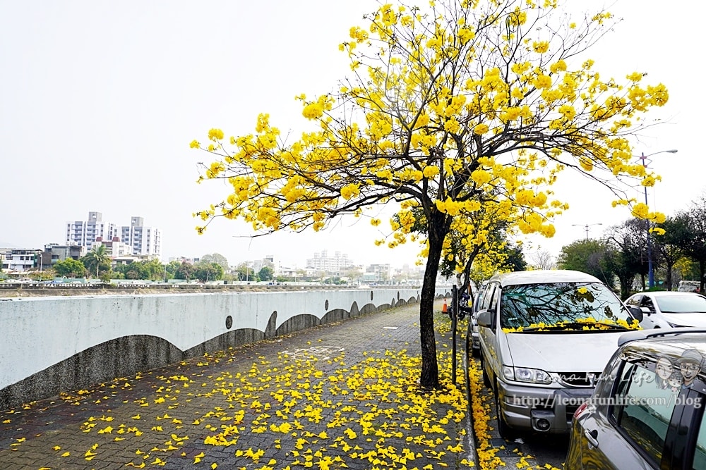 20251027_-284 20251027_-284