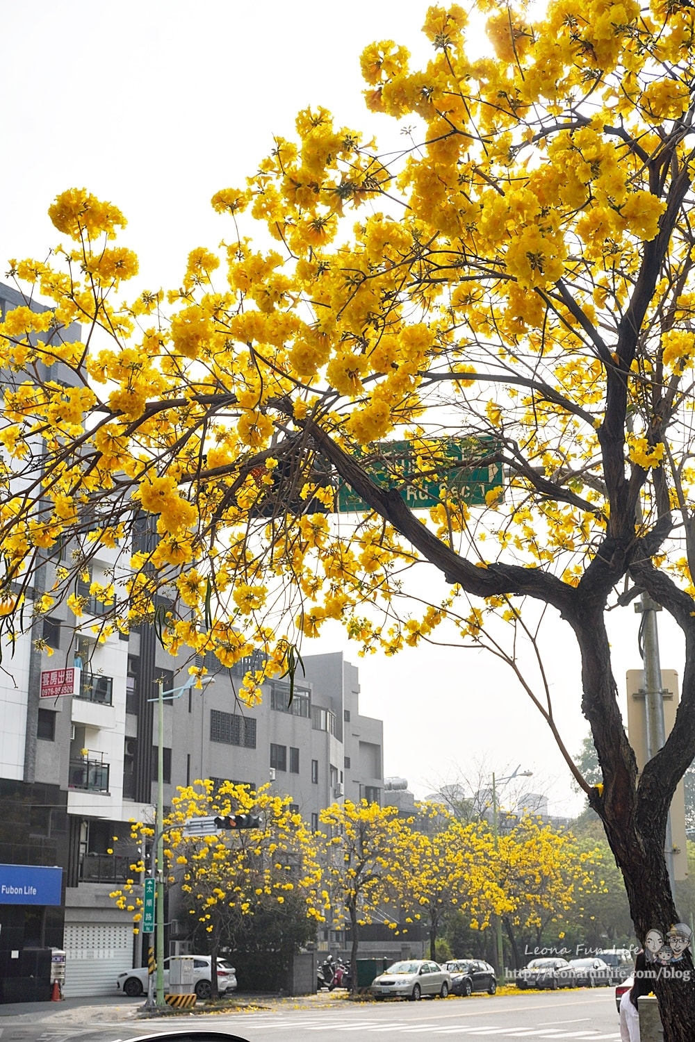 20251027_-286 20251027_-286