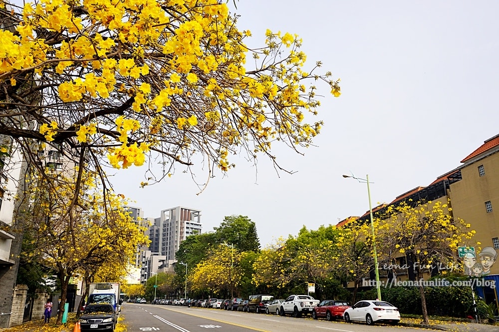 20251027_-287 20251027_-287