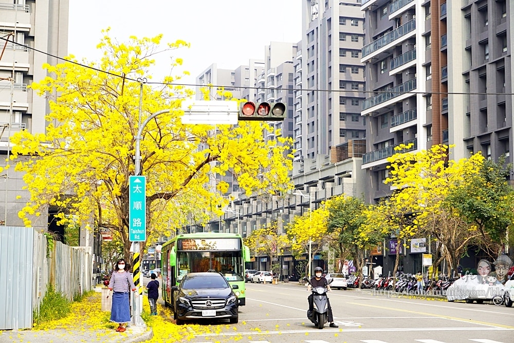 20251027_-288 20251027_-288