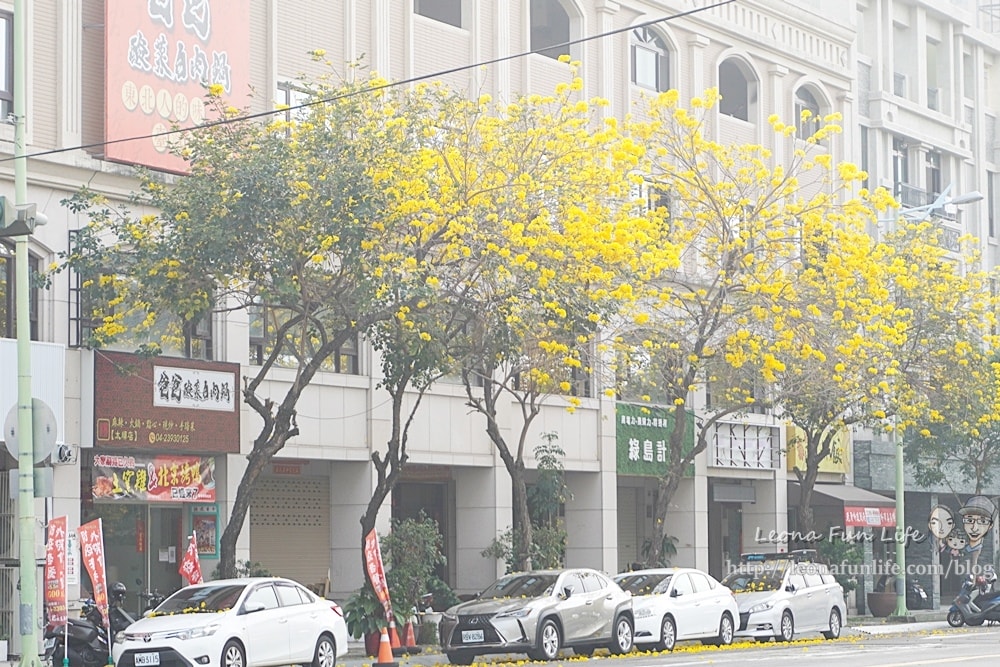 20251027_-289 20251027_-289