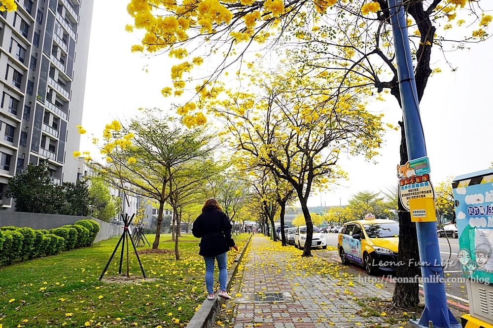 20251027_-290 20251027_-290