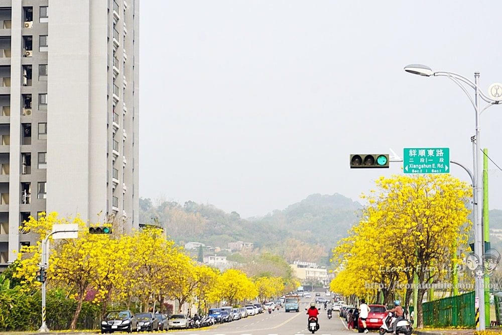 20251027_-291 20251027_-291