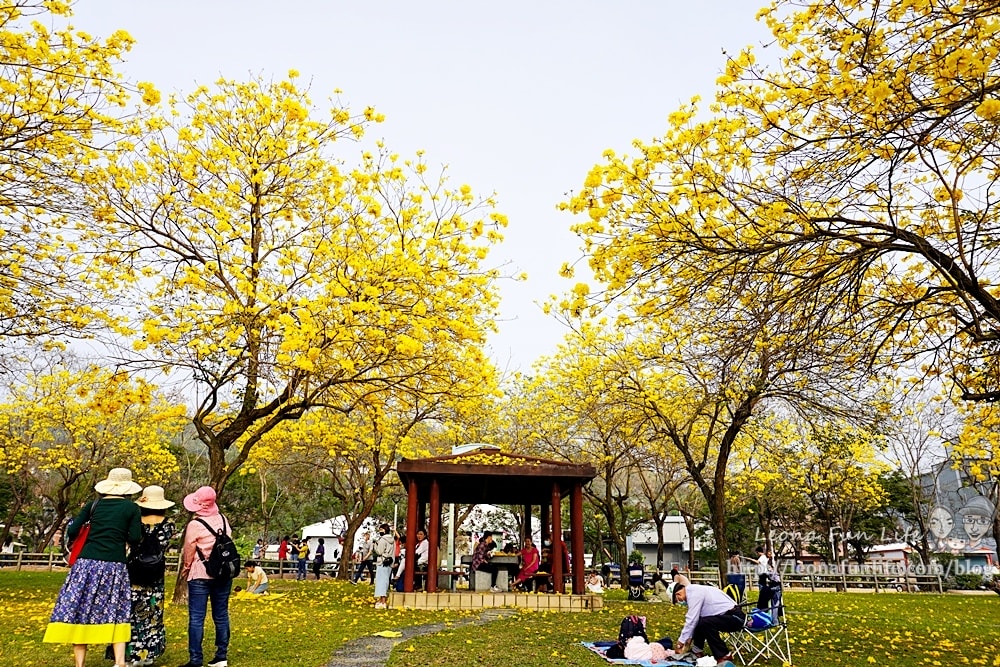 20251027_-292 20251027_-292