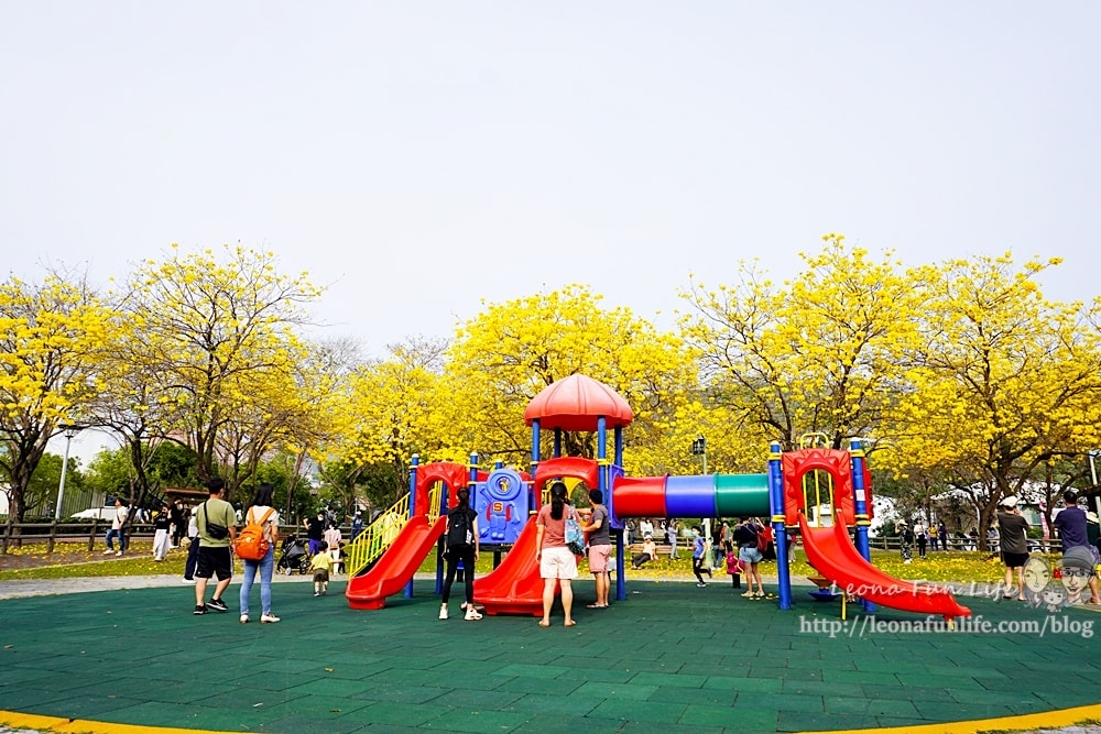 20251027_-293 20251027_-293