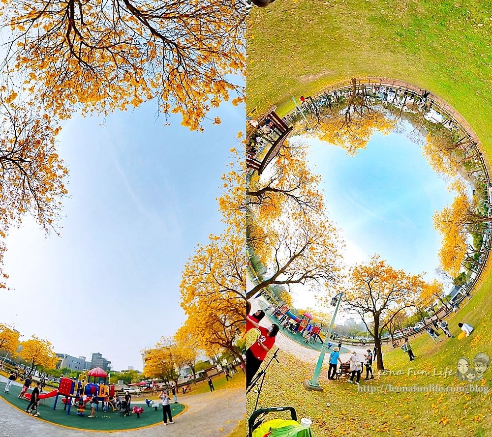 20251027_-294 20251027_-294