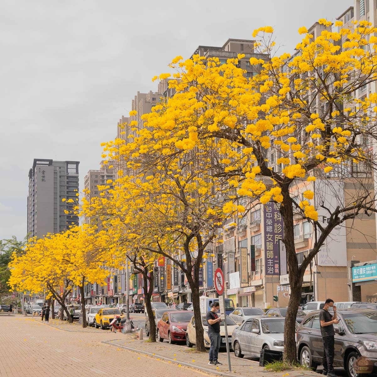 20251027_-295 20251027_-295