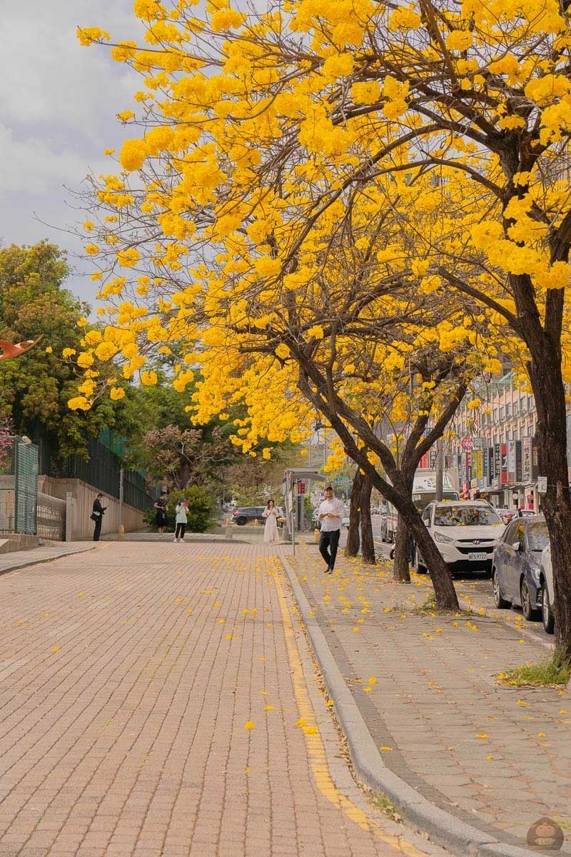 20251027_-296 20251027_-296