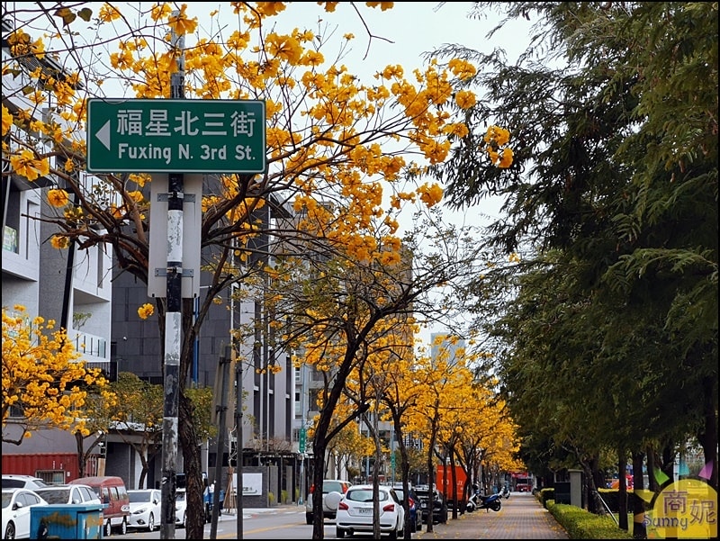 20251027_-297 20251027_-297