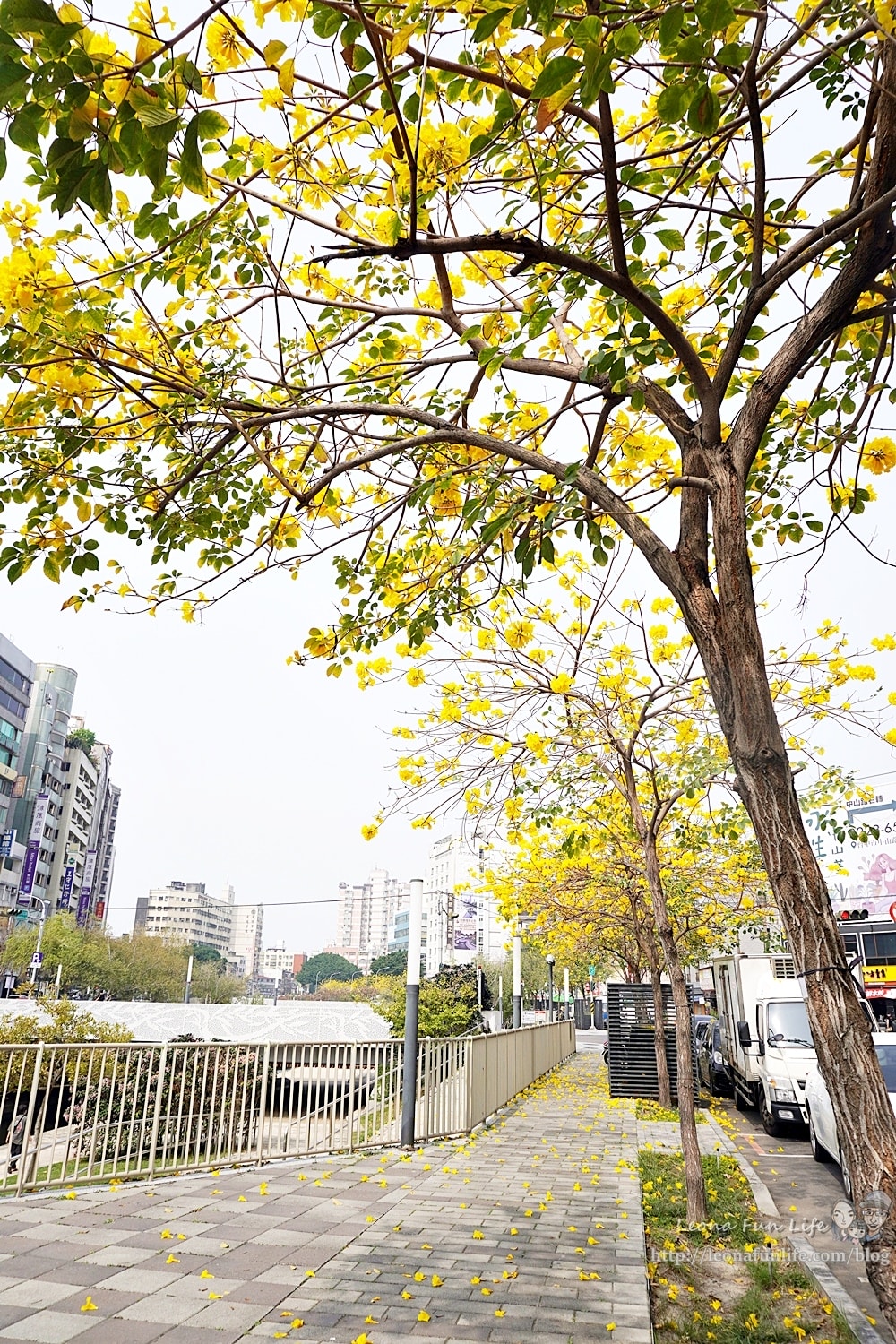 20251027_-493 20251027_-493