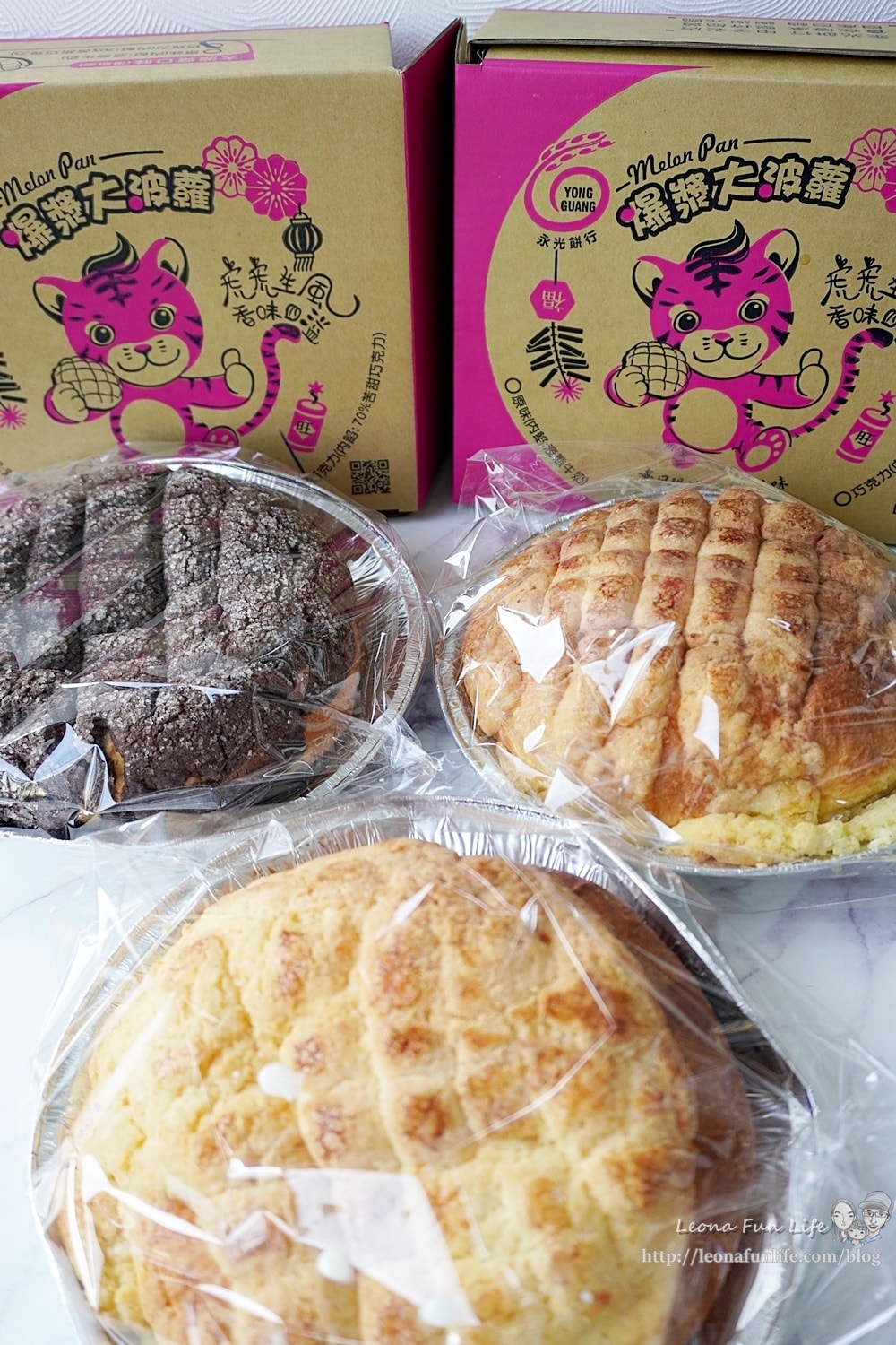 20251027_-290 20251027_-290